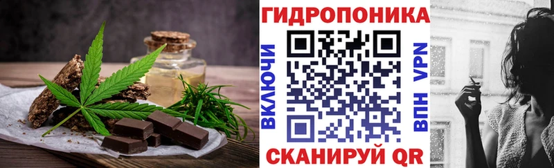 магазин продажи наркотиков  OMG зеркало  Печенье с ТГК марихуана  Ясный 