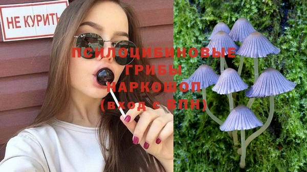 спайс Алзамай