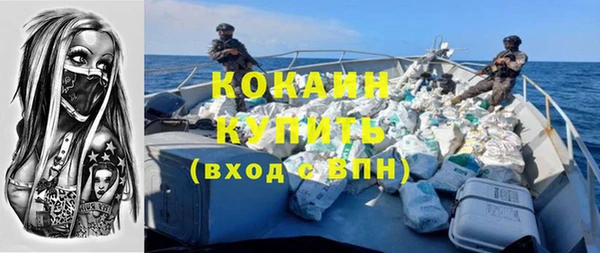 спайс Алзамай