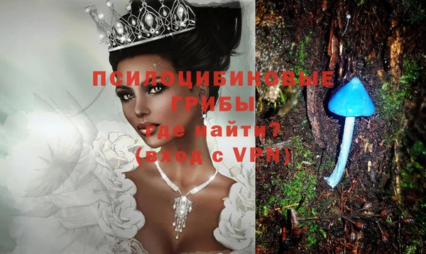 спайс Алзамай