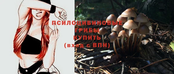 прущие грибы Алексин