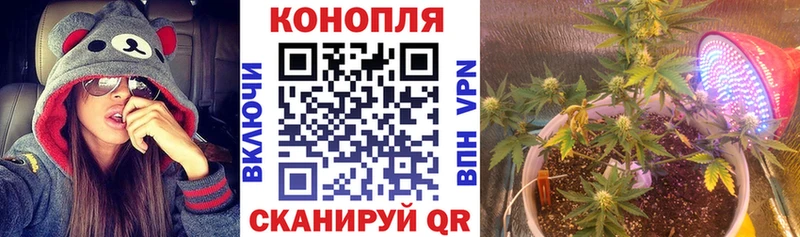 Конопля гибрид  Ясный 